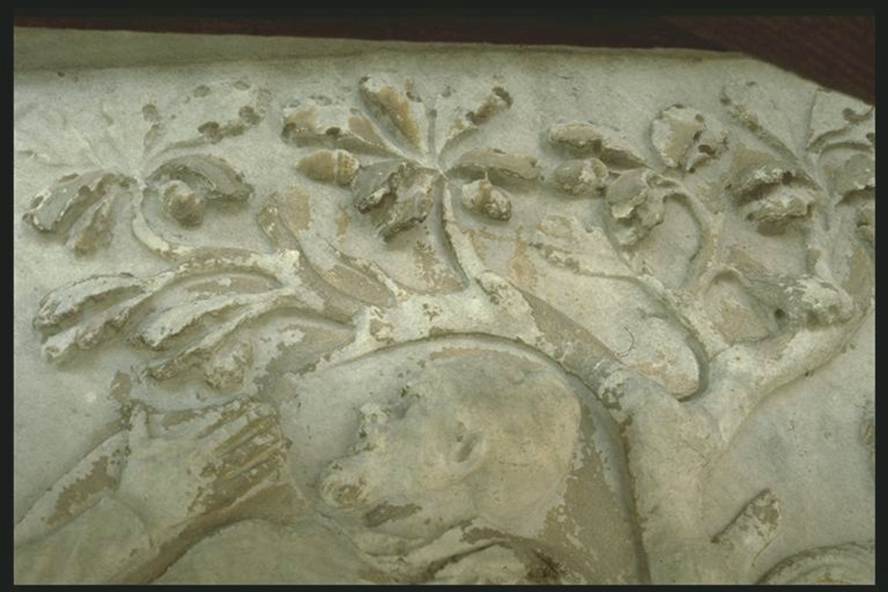 Head of fleeing Dacian