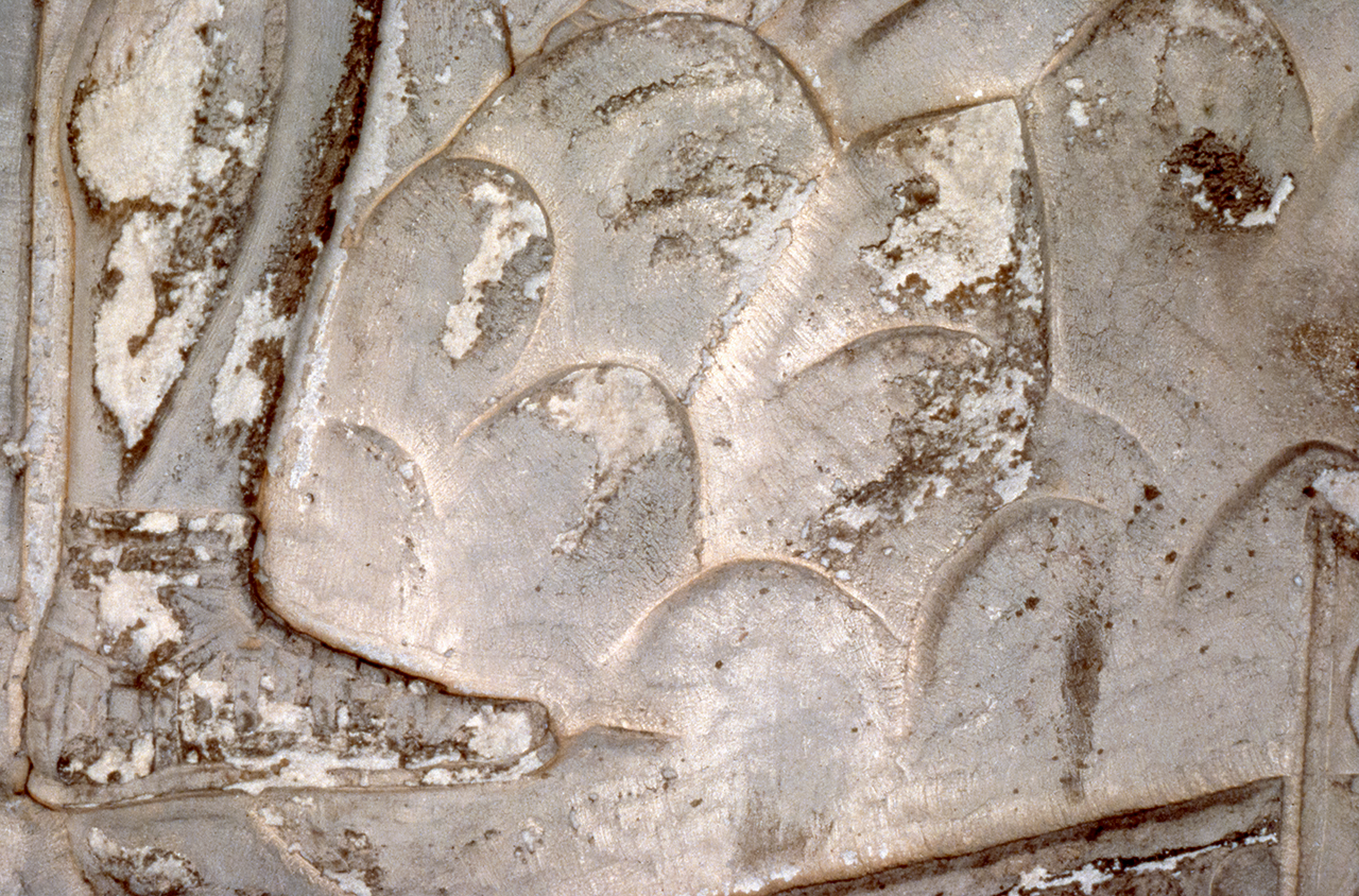 Foot of legionary