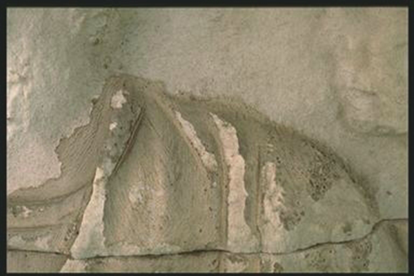 Shoulder of Trajan