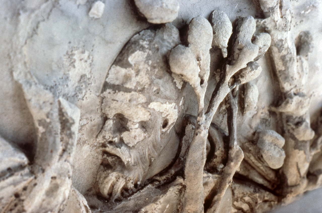 Head of Dacian leader