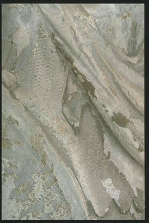 Detail of Roman auxiliary