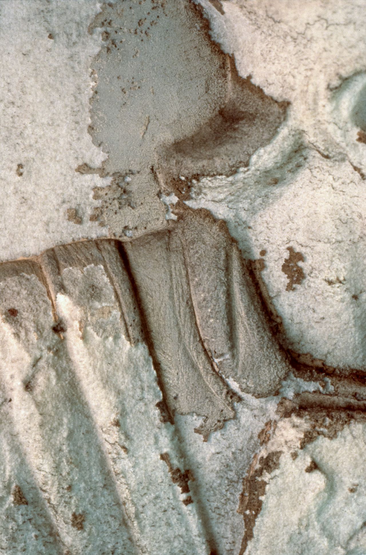 Shoulder of soldier