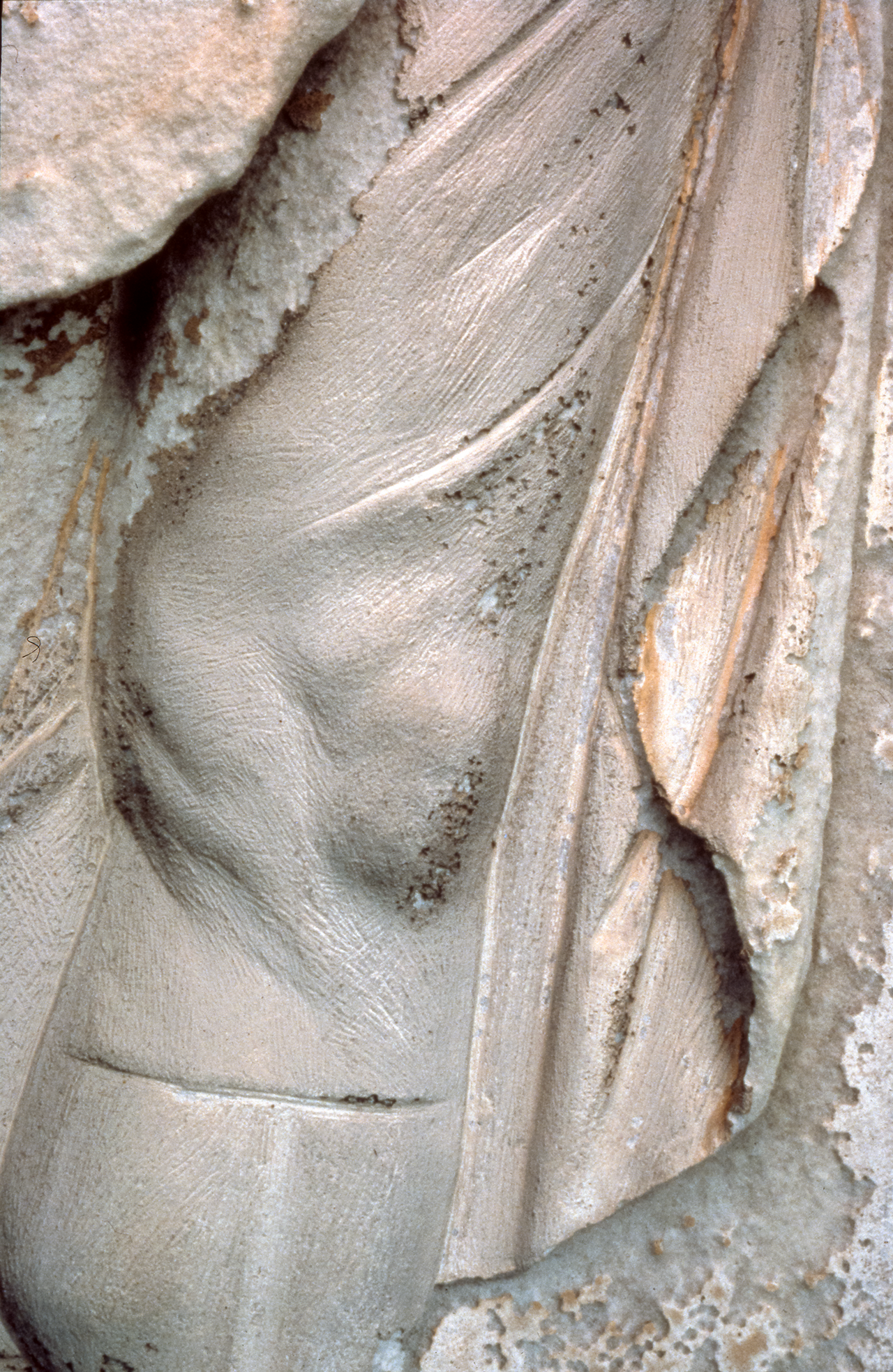 Leg of an auxiliary