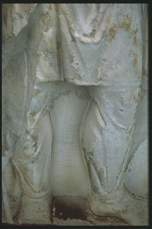 Dacian legs