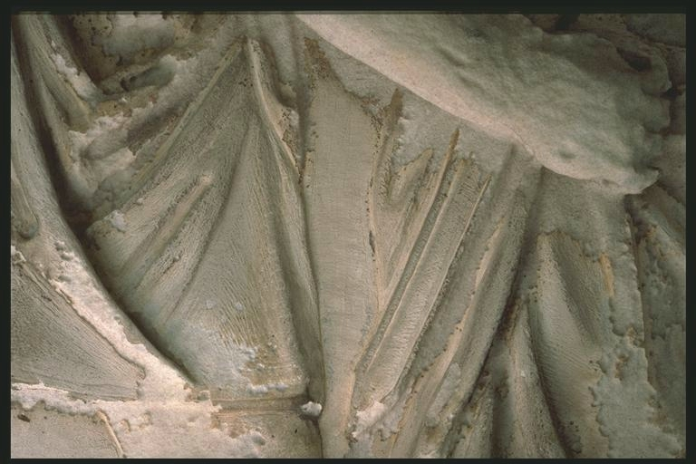 Legs of legionaries