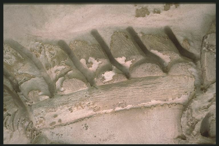 A wooden structure