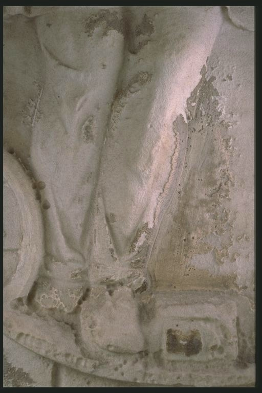 Leg of Dacian
