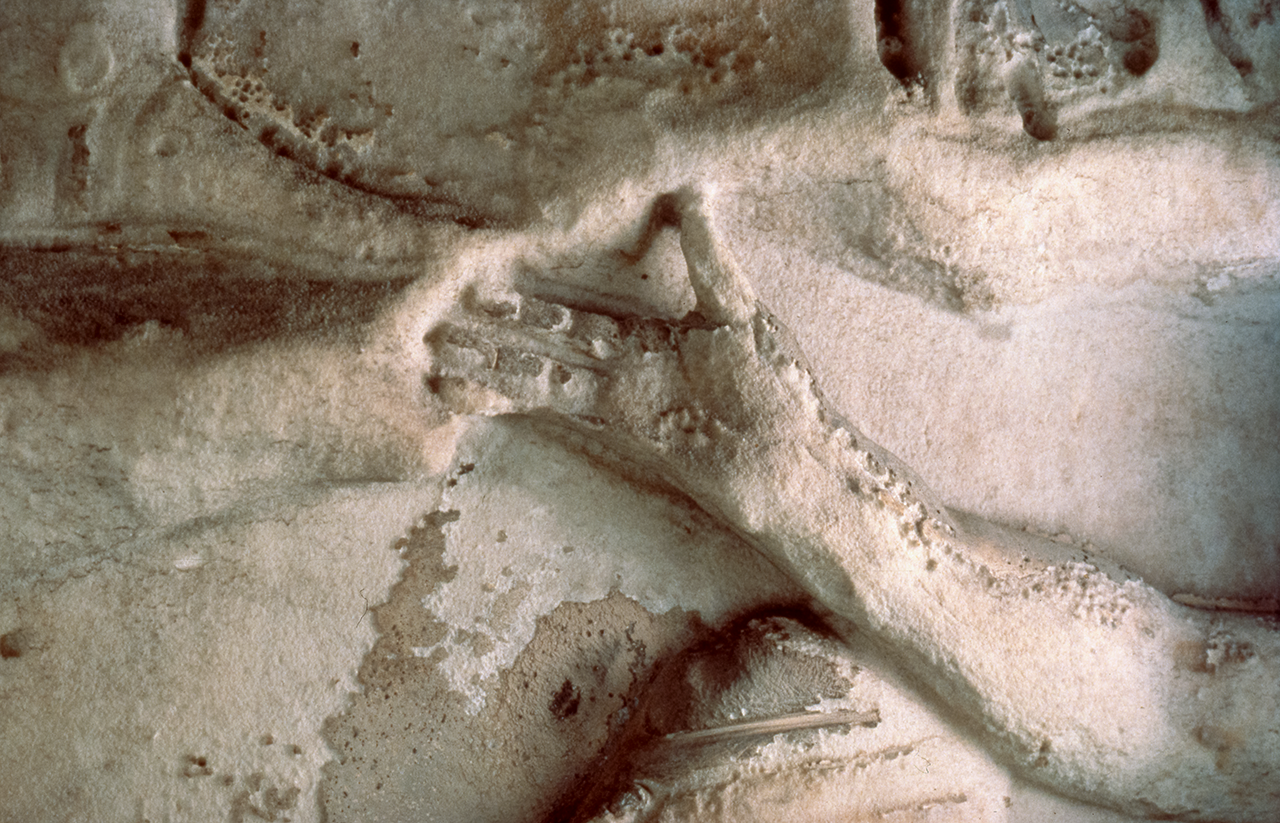 Arm of a Dacian