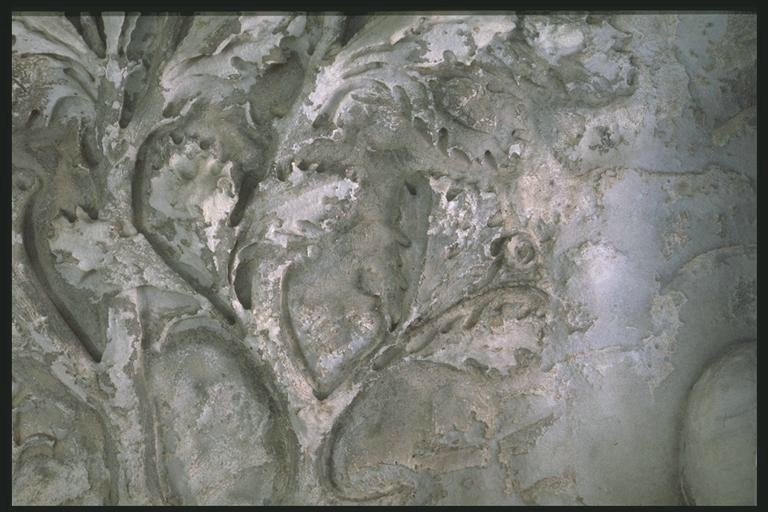 A Dacian tree