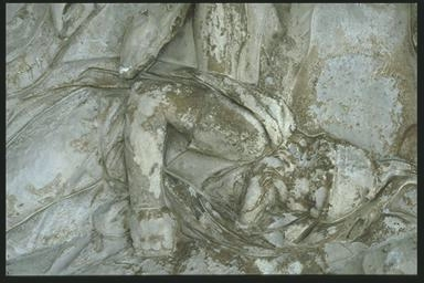 Fallen Dacian