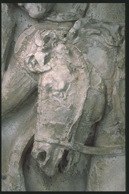 Head of a Roman horse