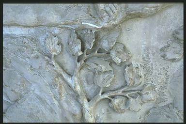A tree