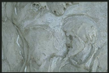 Heads of some Dacians