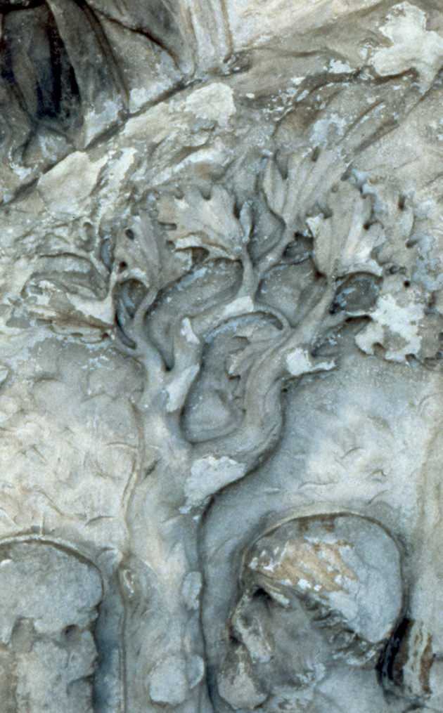 Two Dacian prisoners