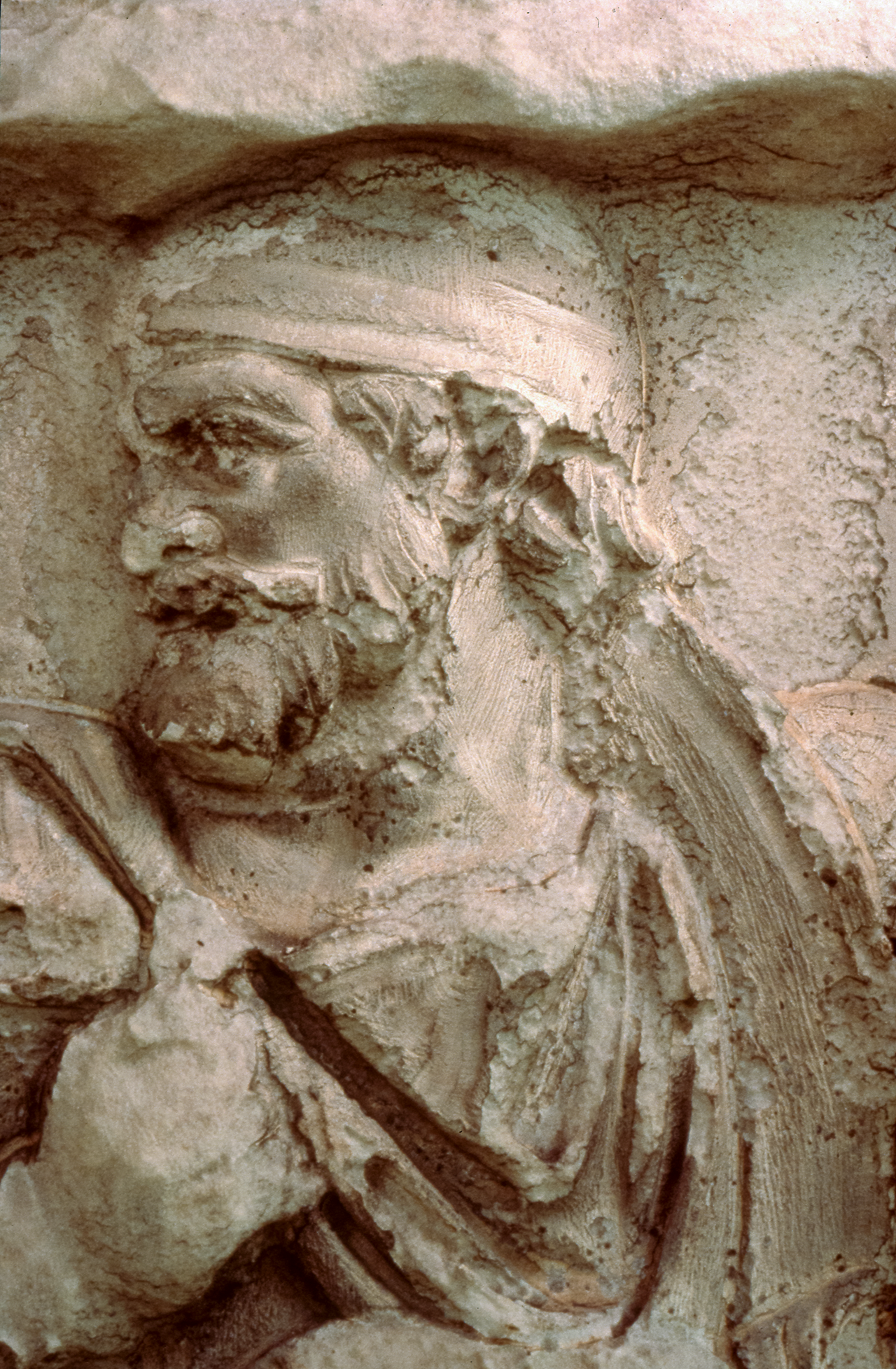 A Dacian piletatus
