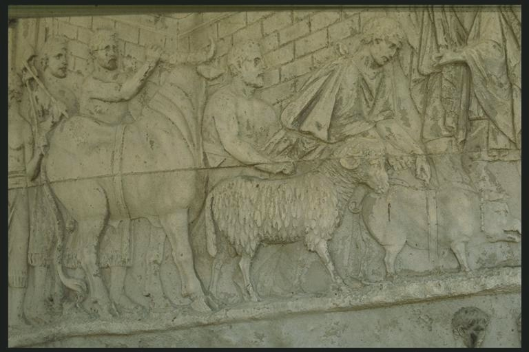 Animals led to sacrifice