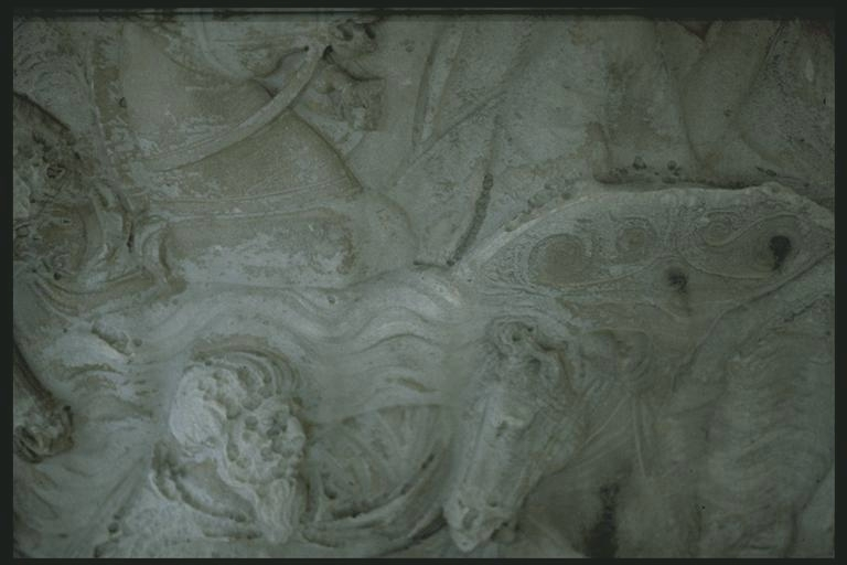 Dacian crossing a river