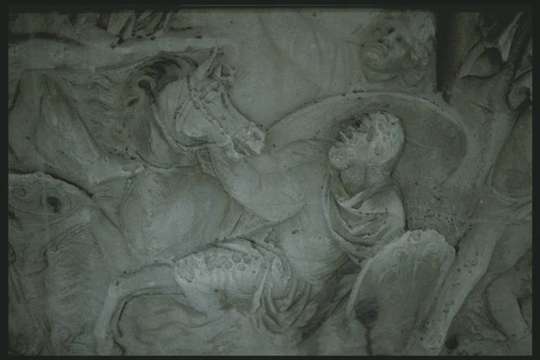 Dacian foundering in a river