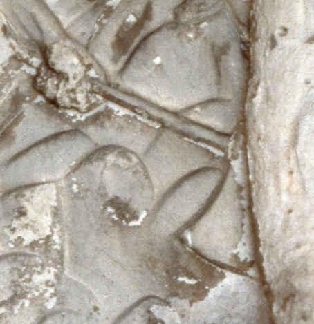 Roman axe chopping tree