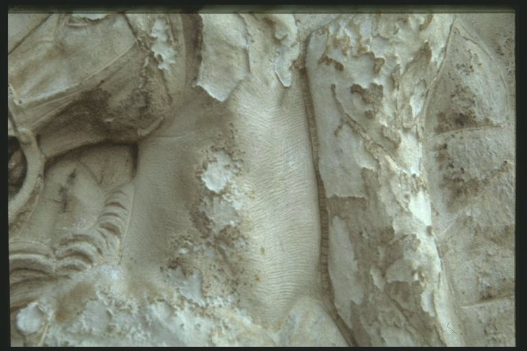Head of a Roman horse