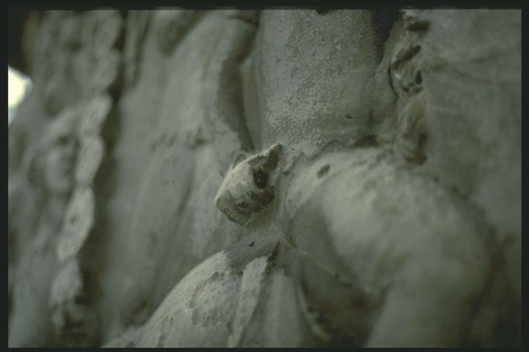 Detail of Roman cavalryman