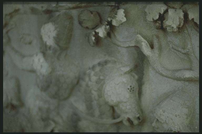 Detail of Sarmatian armoured horse