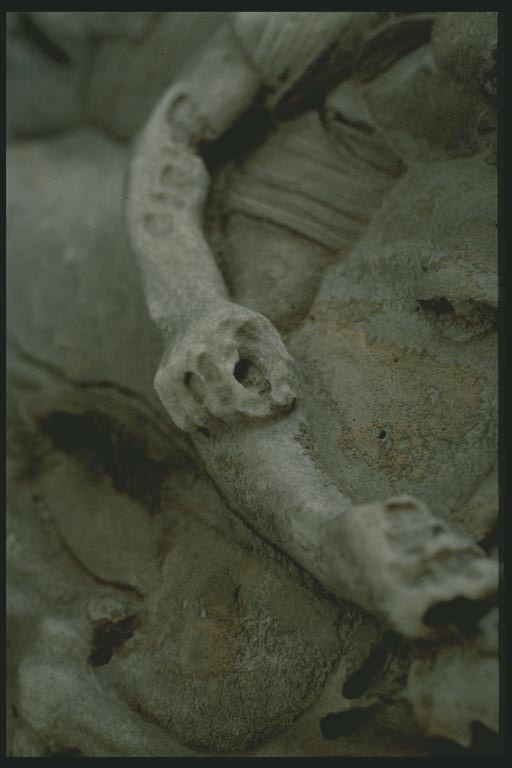 Shot showing holes for metal attachments